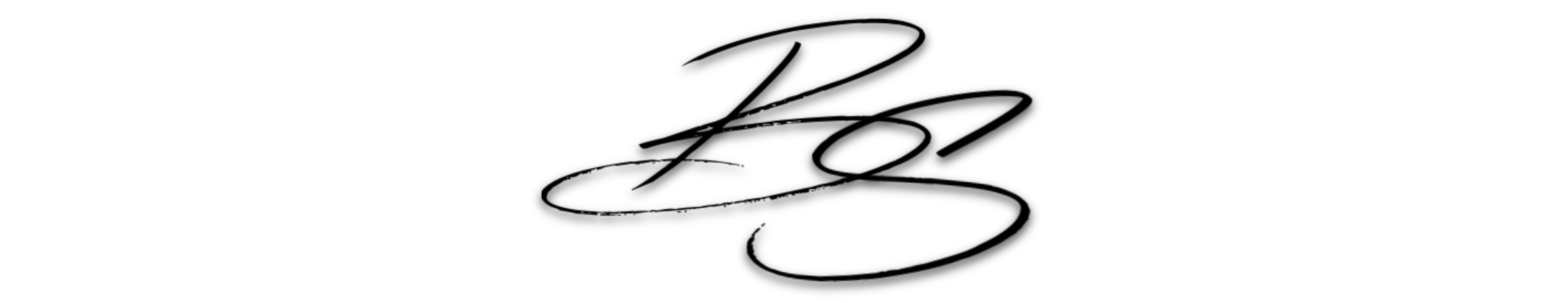 BROKEN STANDARDS CO.