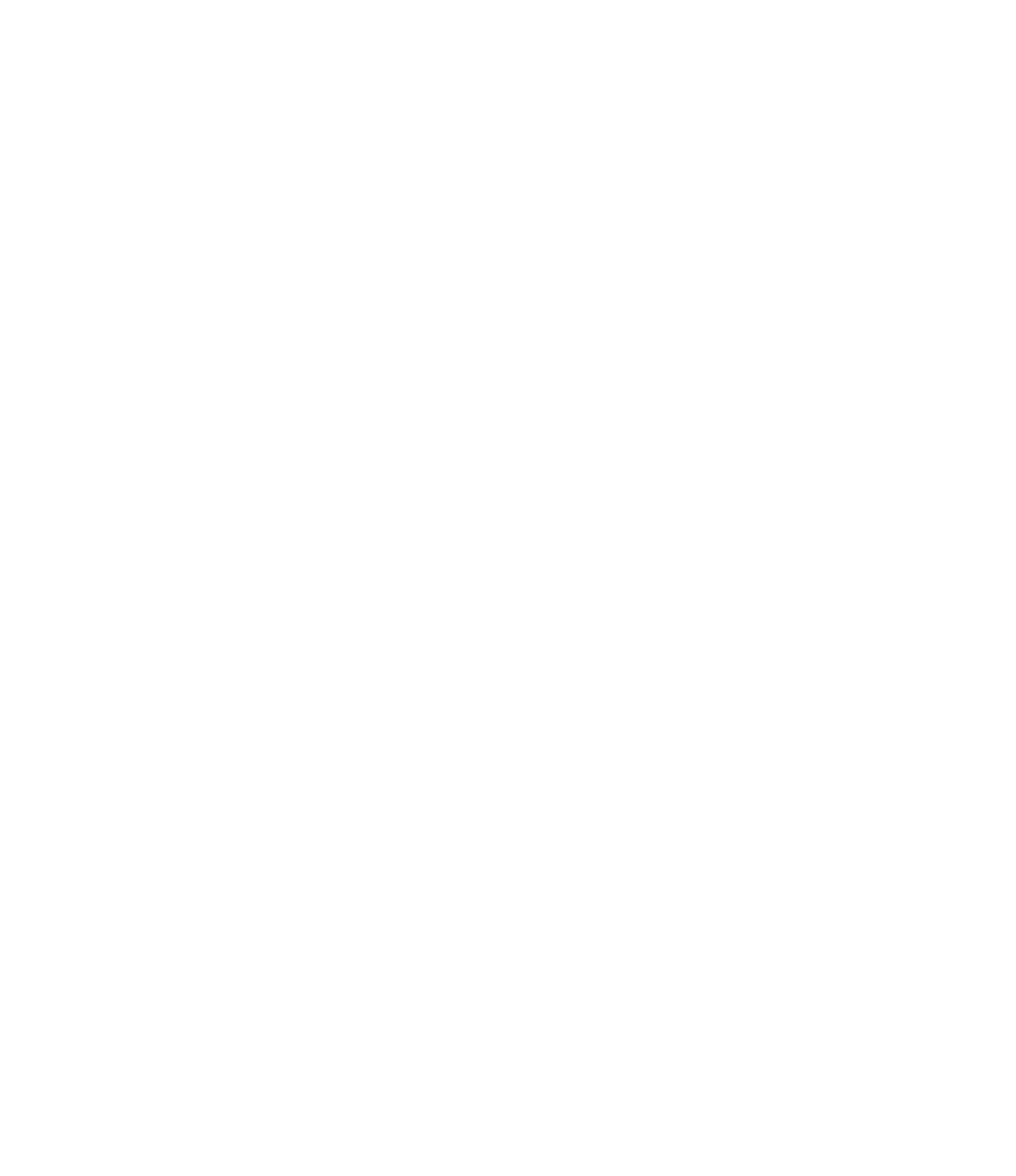 BROKEN STANDARDS CO.